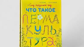 Что такое ЛЕТ письмо в 585 GOLD