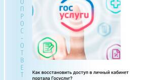 Как авторизоваться на портале Госуслуг в 585 GOLD