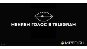Как изменить голос в Telegram в 585 GOLD
