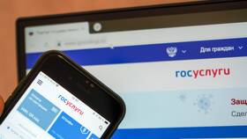 Как получить выписку о трудовом стаже через Госуслуги в 585 GOLD