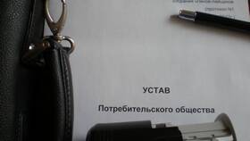 Как сделать выписку из устава организации в 585 GOLD