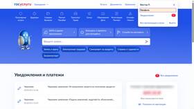 Почему не открываются Госуслуги на телефоне в 585 GOLD