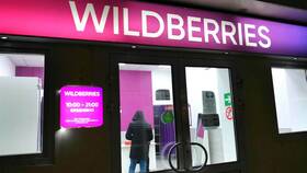 Почему не увеличивается кошелек Wildberries в 585 GOLD