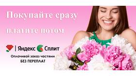 Почему нельзя оплатить заказ сплитом на Яндекс Маркете в 585 GOLD
