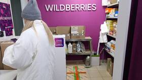 Почему Wildberries запрашивает доступ к Госуслугам в 585 GOLD