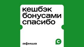 Программа лояльности Сбербанк Спасибо: процент кэшбэка в 585 GOLD