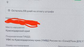 Штраф выставленный на СТС: что это значит в 585 GOLD