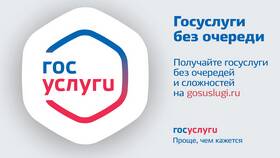 Сколько ждать регистрацию на Госуслугах в 585 GOLD