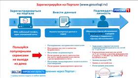 Сроки обновления данных на портале Госуслуги в 585 GOLD