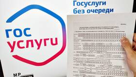 Сроки оформления временной регистрации через Госуслуги в 585 GOLD