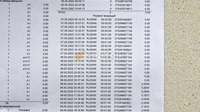 Стоимость звонков в Белоруссию с МТС в 585 GOLD